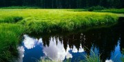 18岁替补中锋半场独砍40分，赛后才被记者提醒已打破尘封20年的纪录